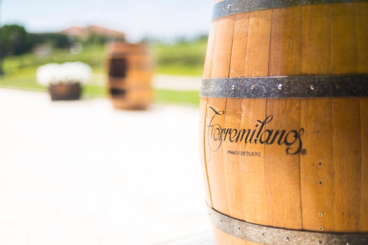 Hotel Torremilanos อารันดา เด ดวยโร ภายนอก รูปภาพ